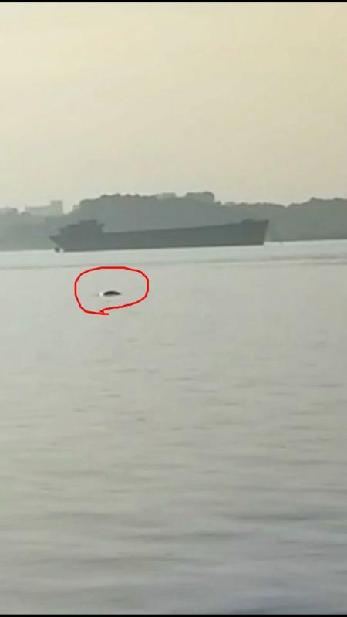 點(diǎn)擊查看高清原圖